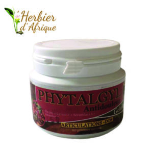 Phytagyl-antidouleur