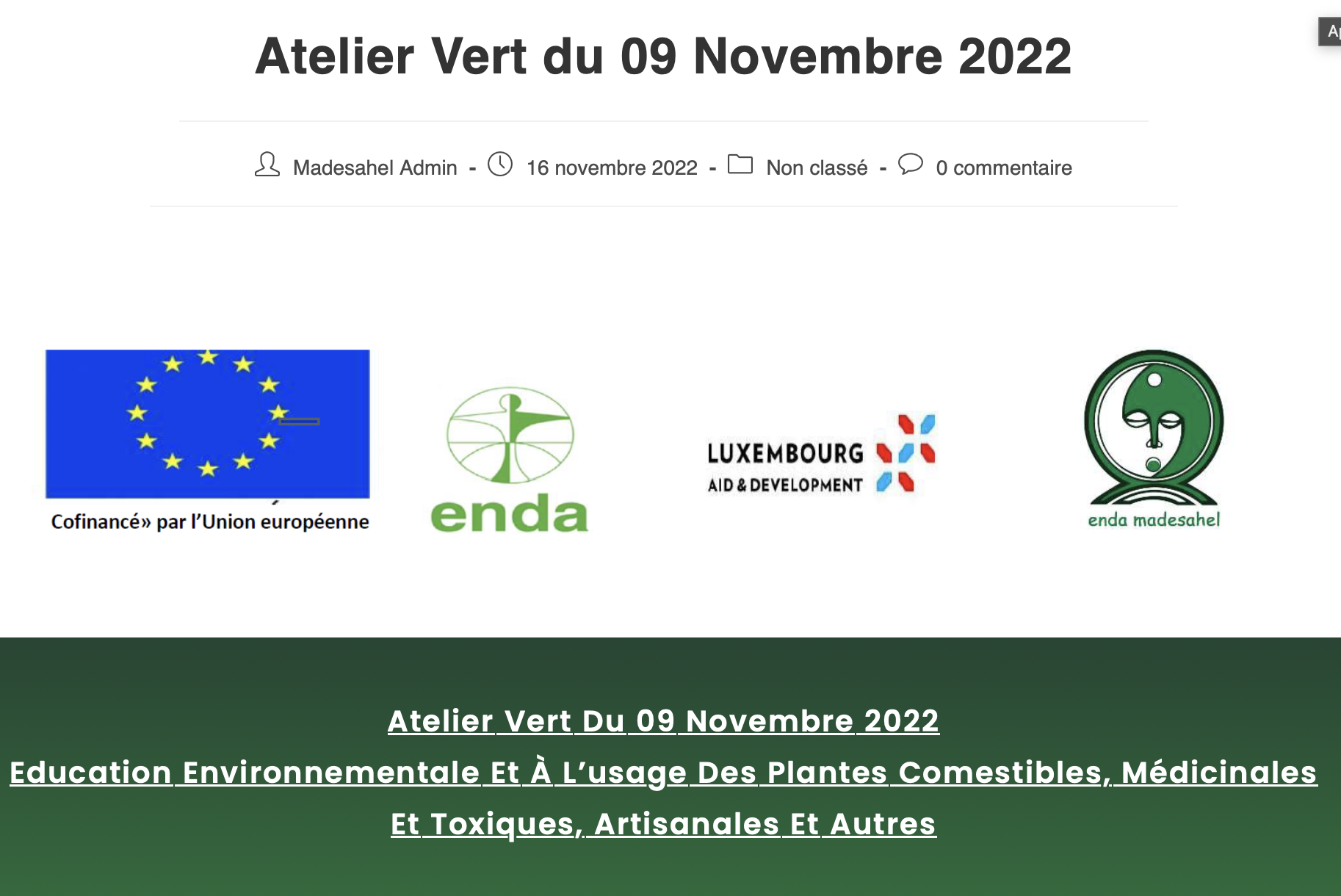 Lire la suite à propos de l’article Atelier Vert du 09 Novembre 2022