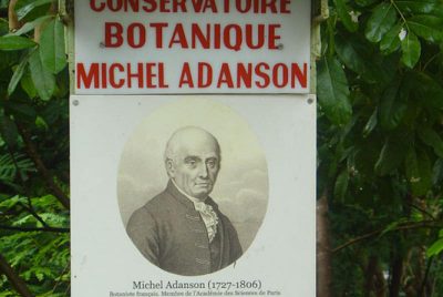 jardin_-_michel-adanson